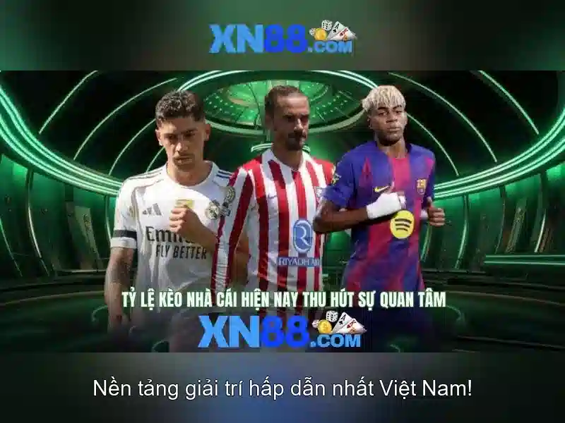 Định nghĩa xn88