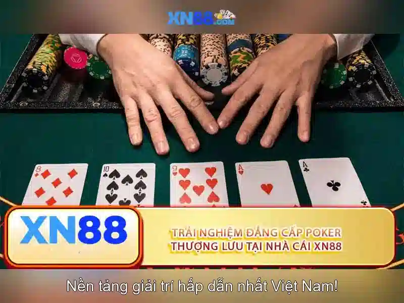 Nền tảng và sứ mệnh