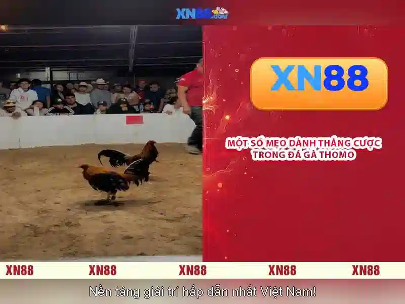 An toàn và bảo mật