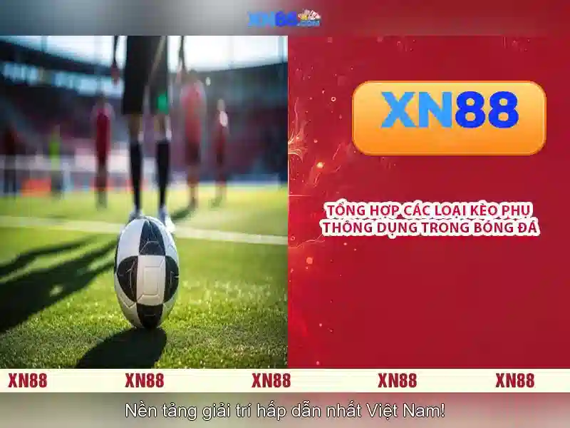 XN88: Tổng quan về nền tảng và các tính năng