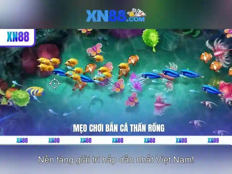 Giới thiệu về xn88