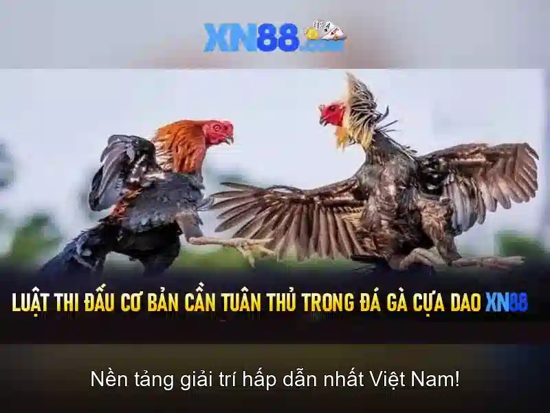 Giới thiệu về xn88