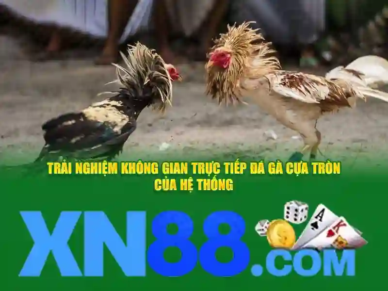 xn88: tổng quan và hướng dẫn an toàn